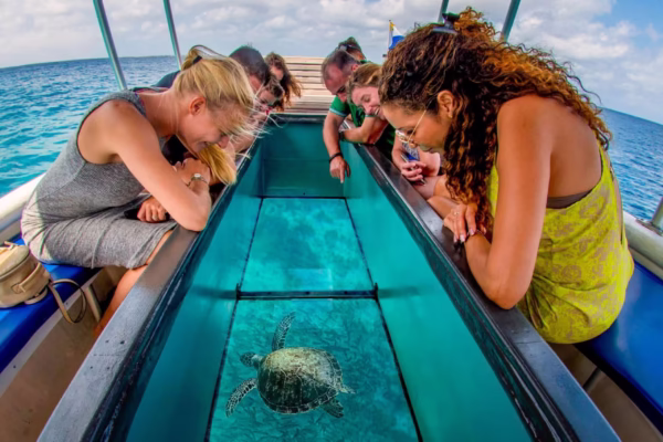 Coral Reef Glass Bottom Boat Sharm El Sheikh Excursions
