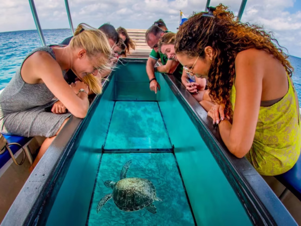 Coral Reef Glass Bottom Boat Sharm El Sheikh Excursions