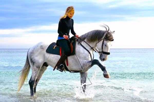 Sea Horse Riding Sharm El Sheikh Tour With Hotel Pickup