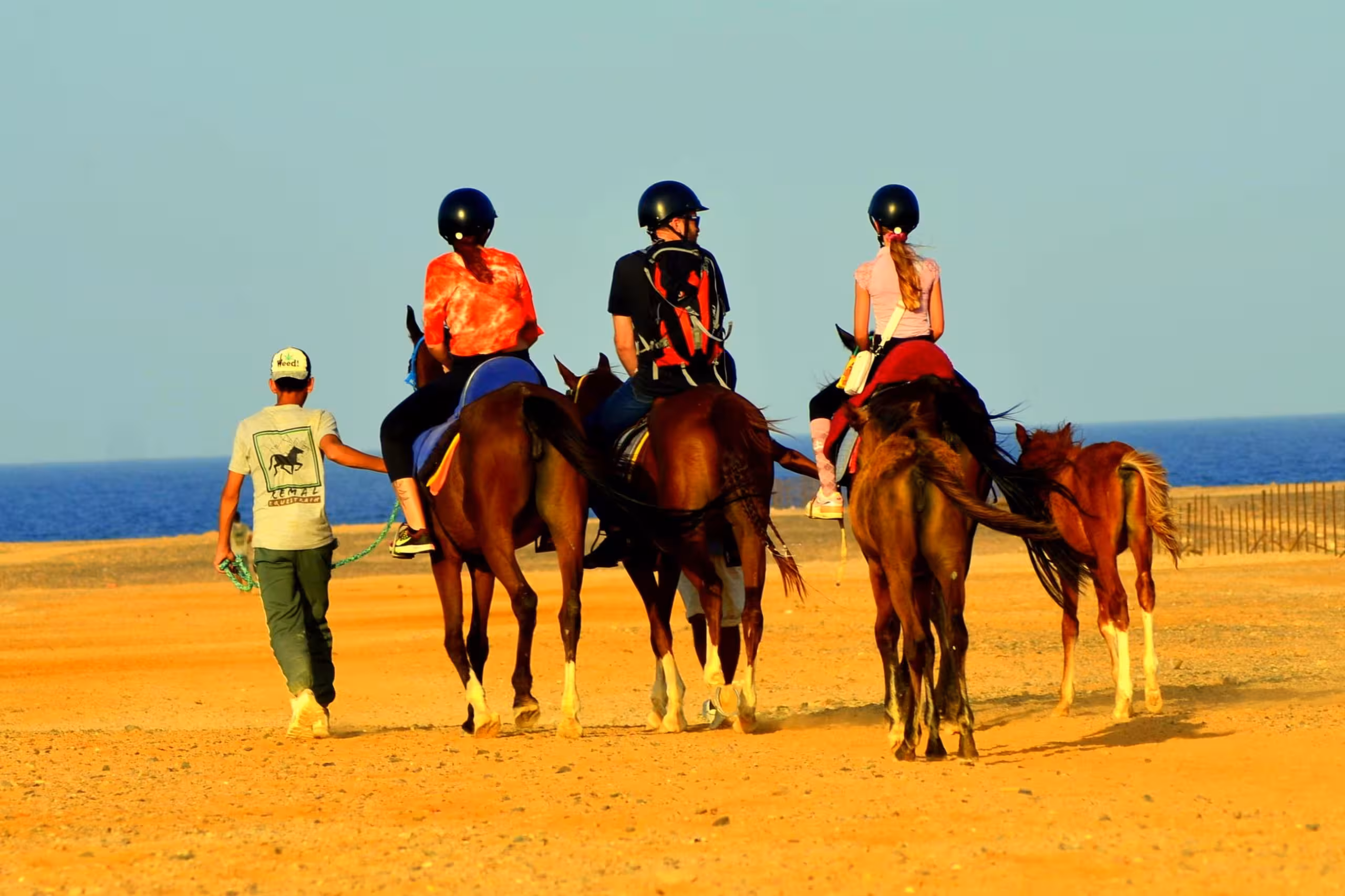 horseback riding sharm el sheikh
