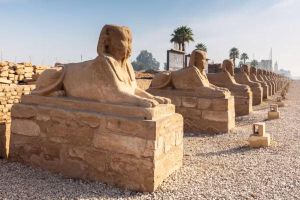 Luxor Avenue of Sphinxes Tour With Private Tour Guide
