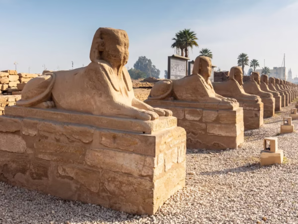 Luxor Avenue of Sphinxes Tour With Private Tour Guide