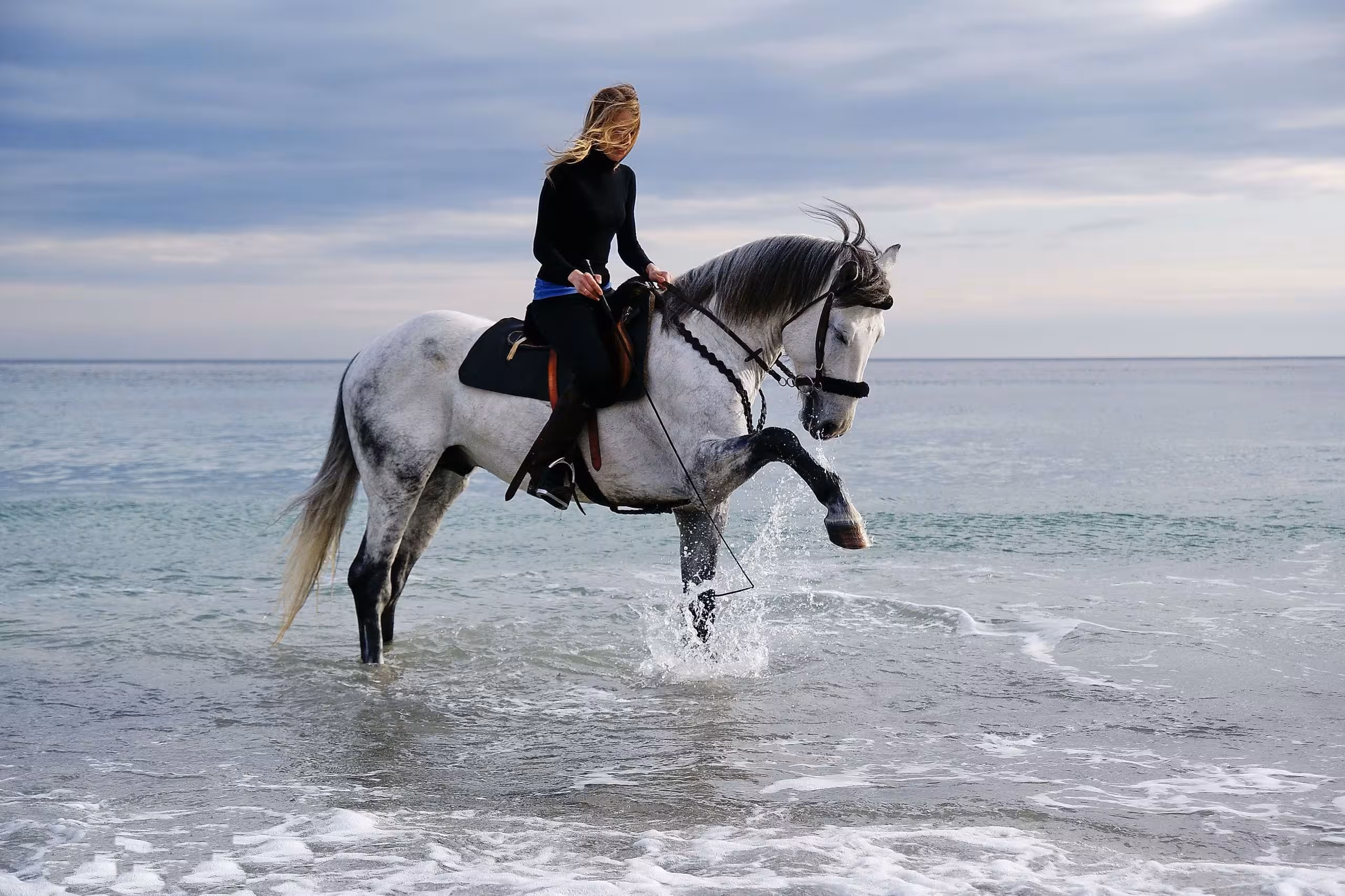 Desert Safari Horseback Marsa alam