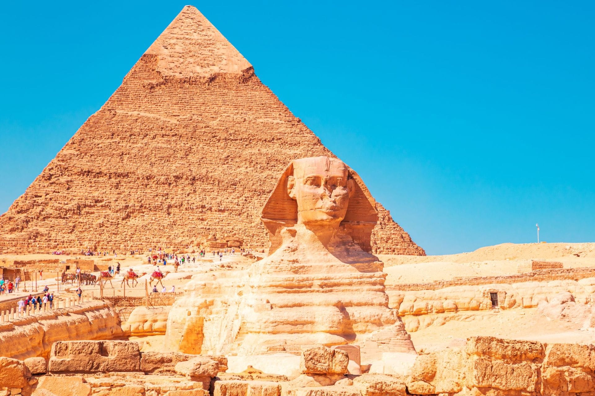 Guided Tour Pyramids