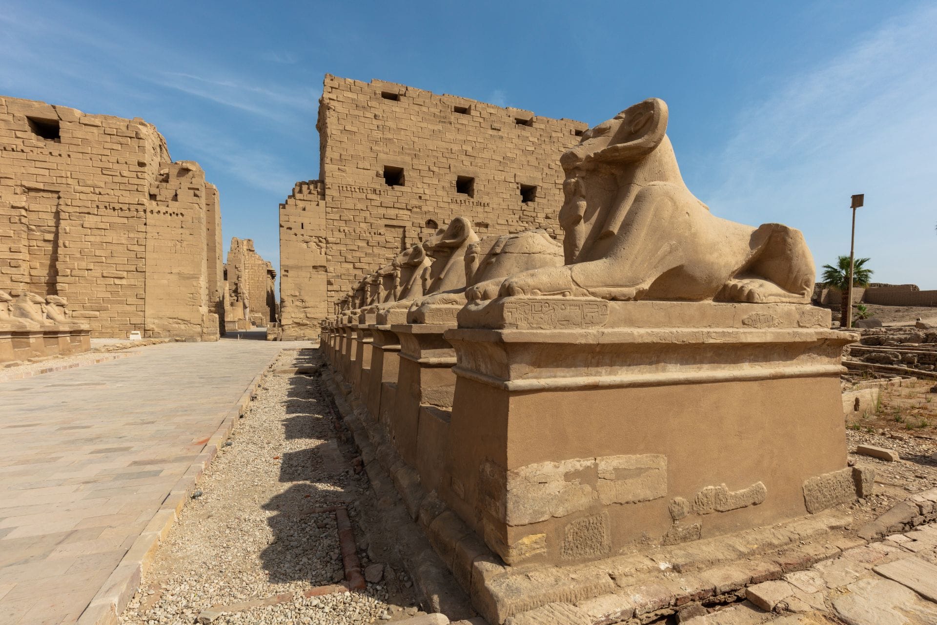Luxor East Bank Tour Avenue of Sphinxes