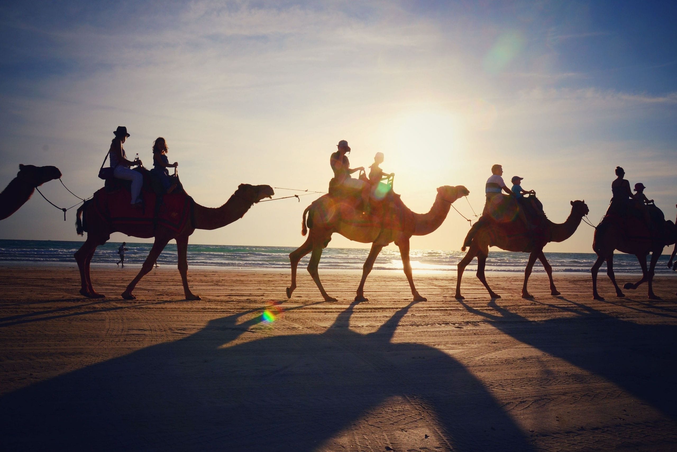 Marsa alam Sunset Camel