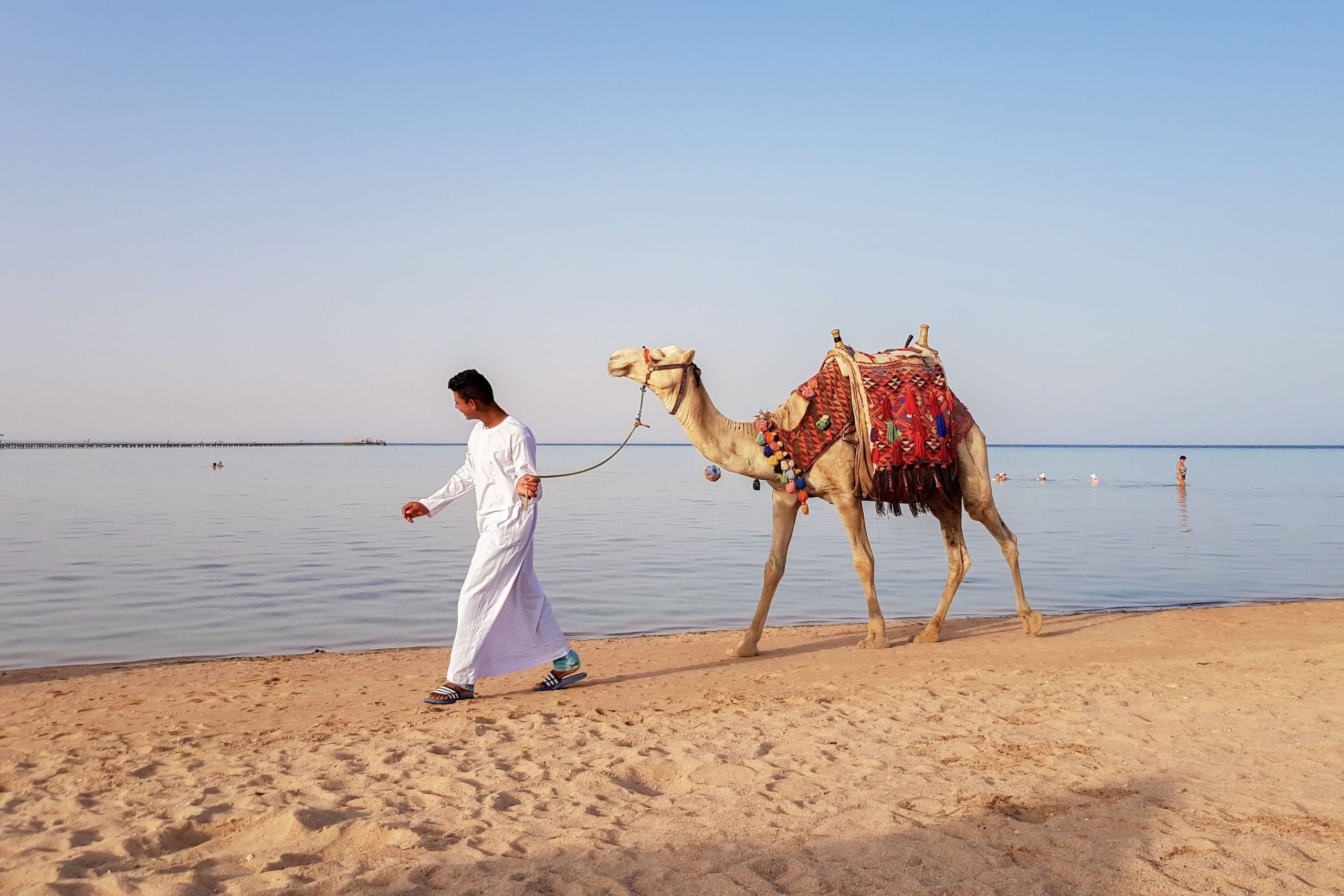 camel Ride marsa alam with tour guide