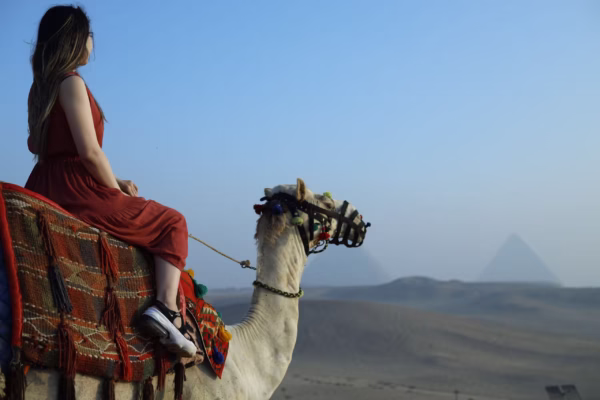 Half-Day Camel Ride In Giza Pyramids Tour With Hotel Pickup