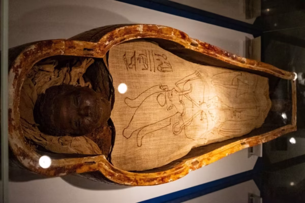 Half-Day Luxor Mummification Museum Tour With Private Guide