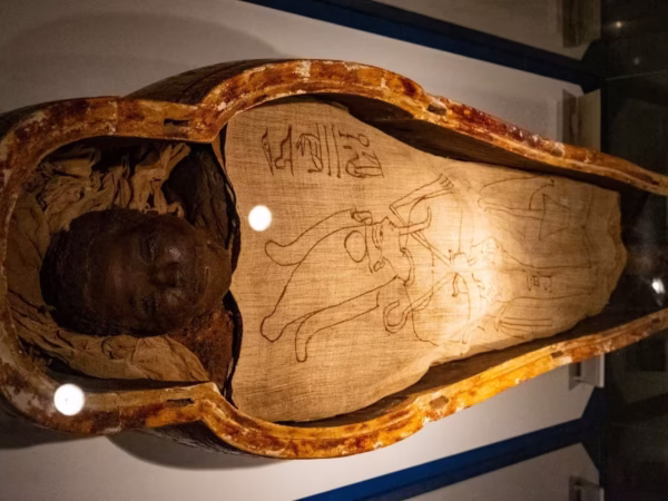 Half-Day Luxor Mummification Museum Tour With Private Guide