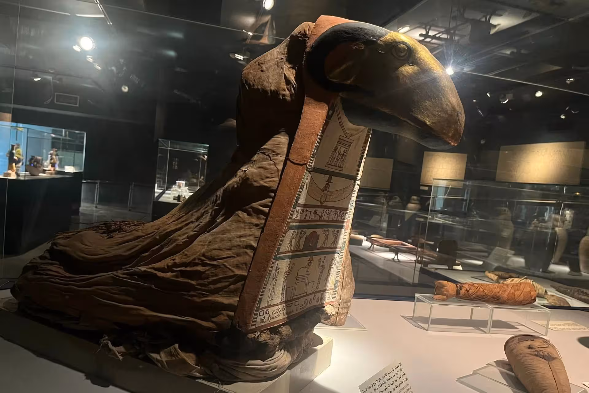 luxor mummification museum tour