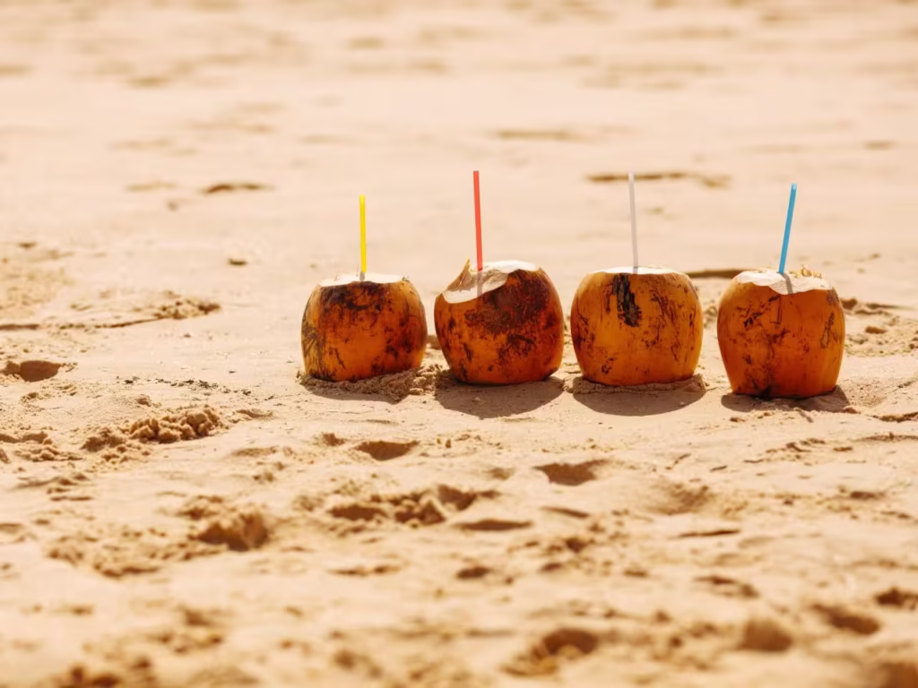 places to visit in egypt in summer - YMS Travel Egypt places to visit in egypt in summer